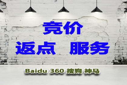 百度SEO推广公司案例分享：行业佼佼者经验